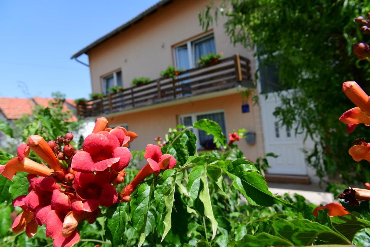 Apartman Dorijan Rakovica Extérieur photo