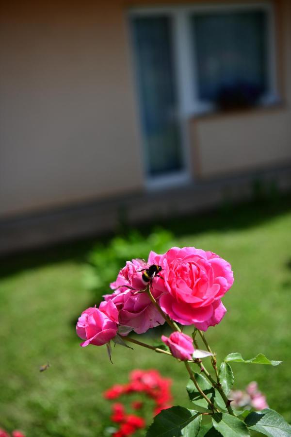 Apartman Dorijan Rakovica Extérieur photo